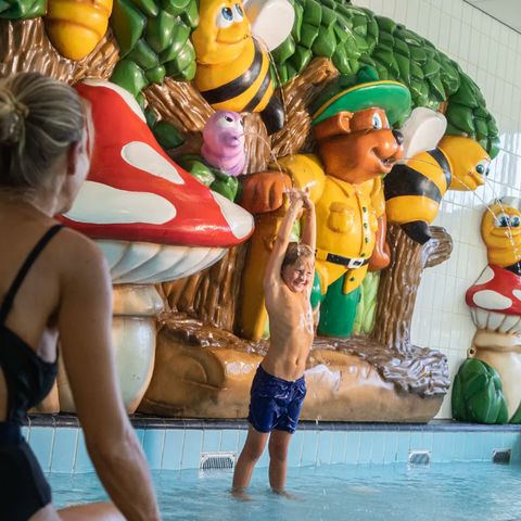 Landal Winterberg - Camping Rhénanie du Nord-Westphalie - Image N°6