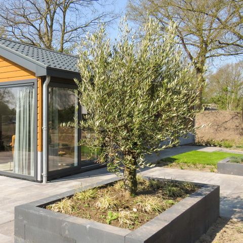 CHALET 6 personnes - Velthorst