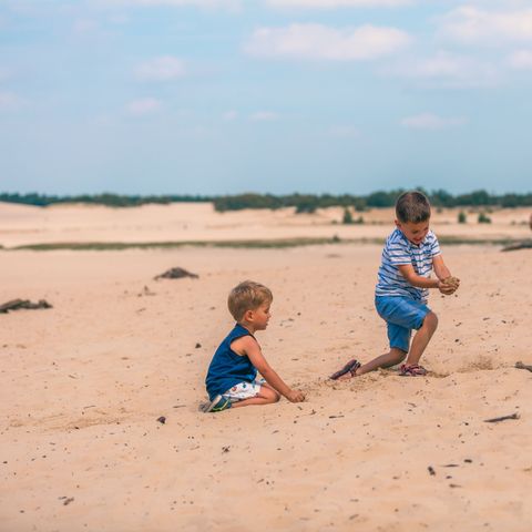 EuroParcs Kaatsheuvel - Camping Loon op Zand - Image N°5