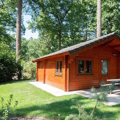 MAISON 4 personnes - Boekhorst