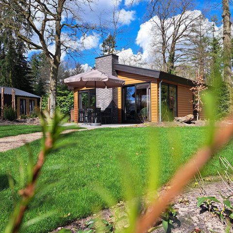 CHALET 6 personnes - Bois de Hackfort 6