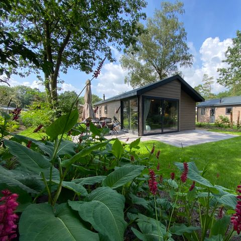 CHALET 6 personnes - Velthorst