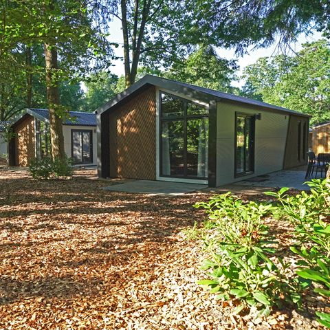 EuroParcs Utrechtse Heuvelrug - Camping Utrechtse Heuvelrug - Image N°2