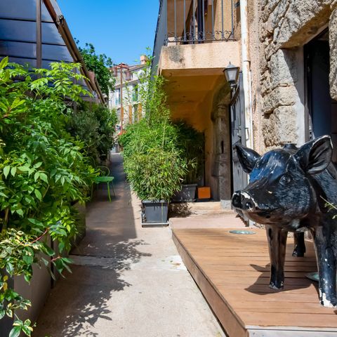 Cita di Sali - Camping Corse du Sud - Image N°5