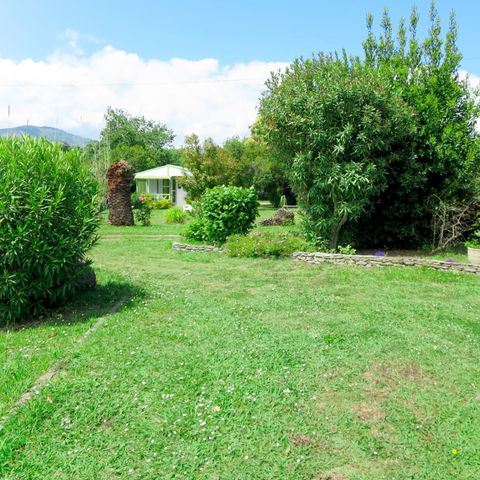 Rico Plage - Camping Corse du Nord - Image N°2