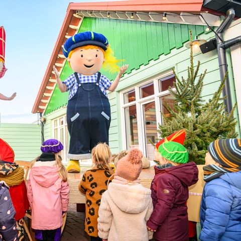 Familie Resort Molenwaard - Camping Molenlanden - Image N°3