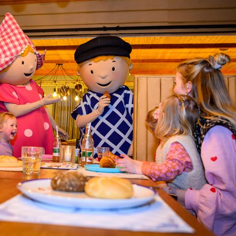 Familie Resort Molenwaard - Camping Molenlanden - Image N°4