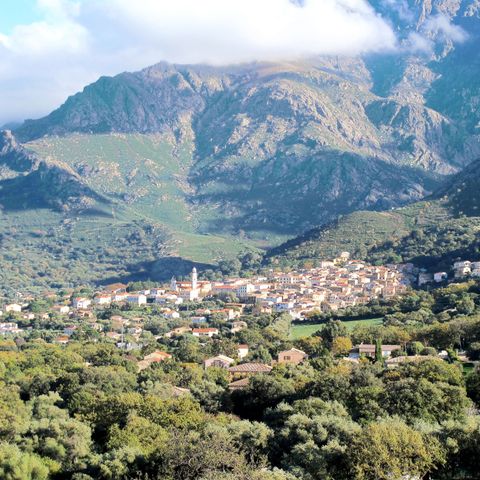 Résidence Le Home - Camping Corse du Nord - Image N°6