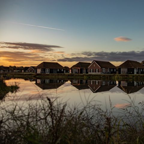 Roompot De Heihorsten - Camping Someren - Image N°2