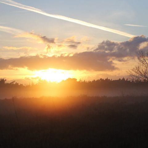 Recreatiepark de Veldkamp - Camping Epe - Image N°5