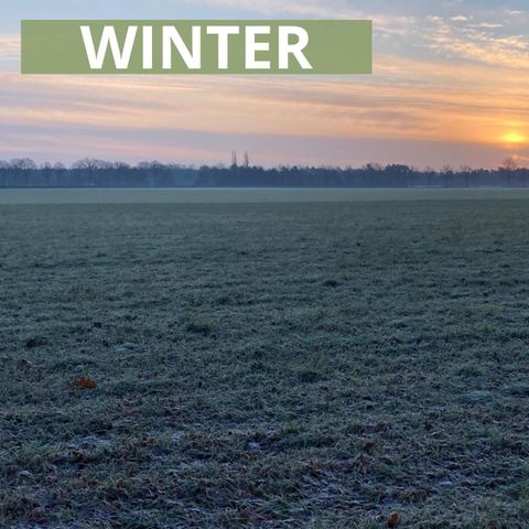 BUNGALOW 4 personnes - WINTER Diamond Snip Deluxe