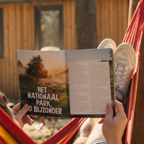 TENTE 6 personnes - Tente Papendaal Lodge