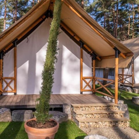 TENTE 4 personnes - Tente Papendaal Lodge