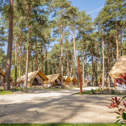 TENTE 4 personnes - Tente Papendaal Lodge
