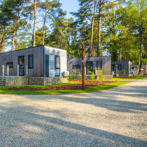 CHALET 4 personnes - Chalet Lieteberg