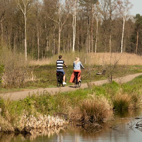 EuroParcs Hoge Kempen - Camping Limburg Belge - Image N°5