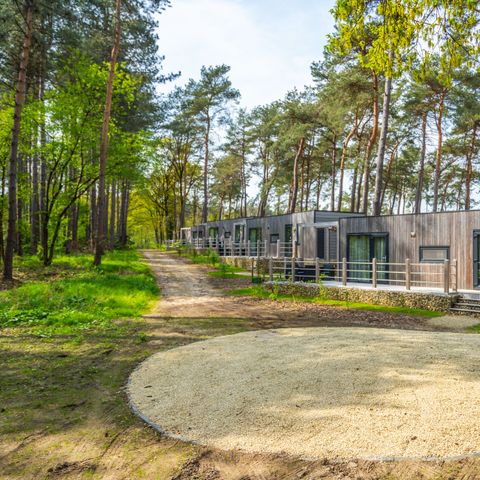 EuroParcs Hoge Kempen - Camping Limburg Belge - Image N°3