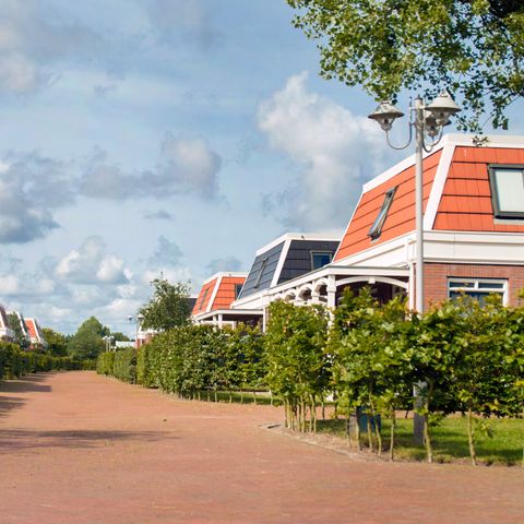 Bungalowparck Tulp & Zee - Camping Noordwijk - Image N°6