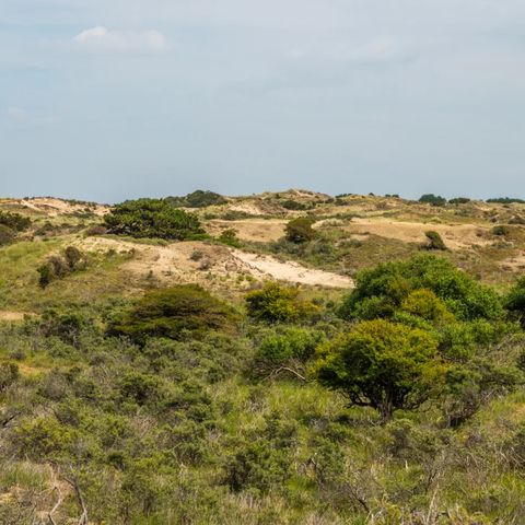 EuroParcs Noordwijkse Duinen - Camping Noordwijk - Image N°2