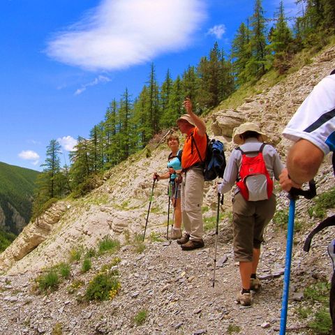 FranceComfort Villa's du Verdon - Camping Alpes-de-Haute-Provence - Image N°6