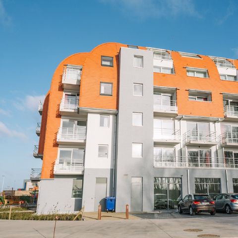 Residence Zeebrugge - Camping Flandre Occidentale - Image N°3