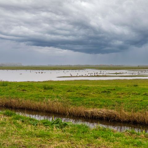 EuroParcs Texel - Camping Texel - Image N°6