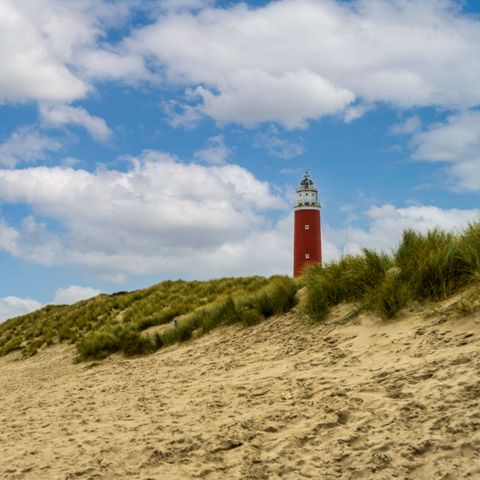 EuroParcs Texel - Camping Texel - Image N°3