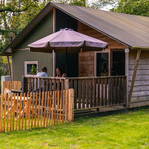 TENTE TOILE ET BOIS 6 personnes - Tente de glamping Dog Lodge