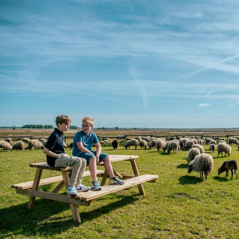 EuroParcs Ruinen - Camping De Wolden - Image N°5