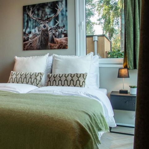 MAISON 4 personnes - Ferme Veluwe Wellness (bain à remous)