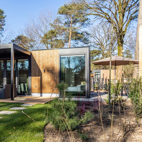 BUNGALOW 5 personnes - Ferme de Veluwe