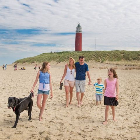 Landal Beach Park Texel - Camping Texel - Image N°5