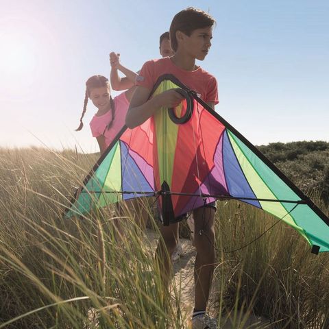 Landal Beach Park Texel - Camping Texel - Image N°6