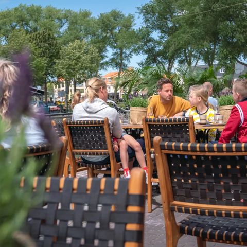 Landal Villapark Vogelmient - Camping Texel - Image N°4