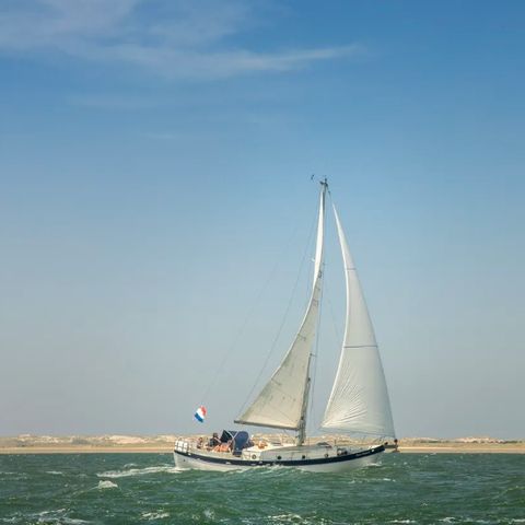 Landal Villapark Vogelmient - Camping Texel - Image N°5