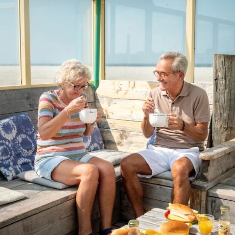 Landal Villapark Vogelmient - Camping Texel - Image N°3