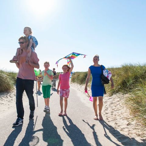 Landal Villapark Vogelmient - Camping Texel - Image N°2
