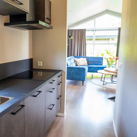 LODGE 4 personnes - Bois Vue sur l'eau