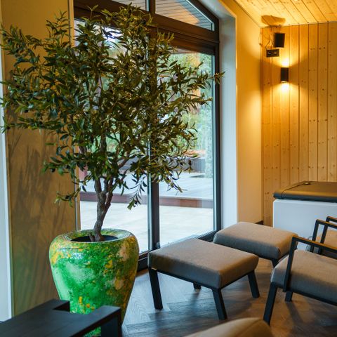 MAISON 2 personnes - Suite bien-être « Boszicht » avec jacuzzi et double sauna 