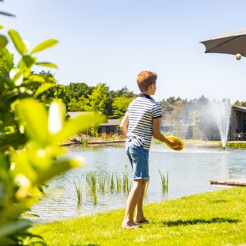 Vakantiepark Molenvelden - Camping Veldhoven - Image N°6