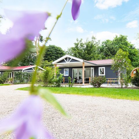 Vakantiepark de Krakeling - Camping Zeist - Image N°3