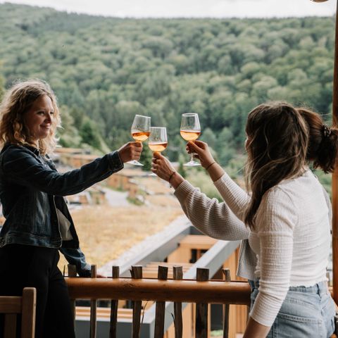 HÉBERGEMENT INSOLITE 4 personnes - Maison de luxe dans les arbres avec toboggan