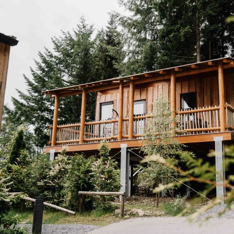 Hébergement 4 personnes - Maison de luxe dans les arbres avec toboggan