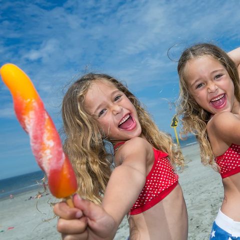 Landal Camping De Zandput - Camping Veere - Image N°5