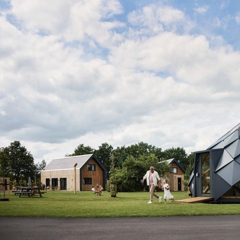 Brinckerduyn - Camping Ooststellingwerf - Image N°5