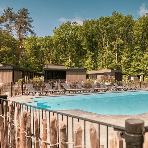 Soof Heuvelrug - Camping Rhenen - Image N°2