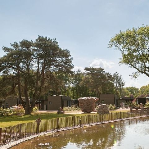 Soof Heuvelrug - Camping Rhenen - Image N°5