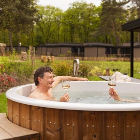 Soof Heuvelrug - Camping Rhenen - Image N°4