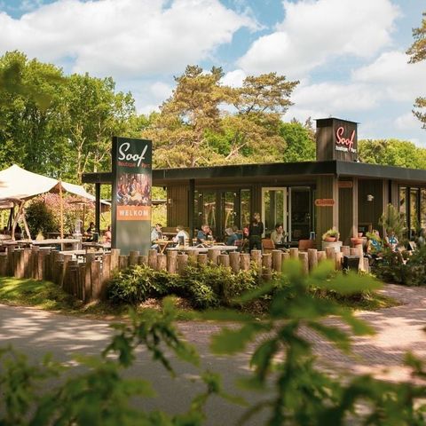 Soof Heuvelrug - Camping Rhenen - Image N°3