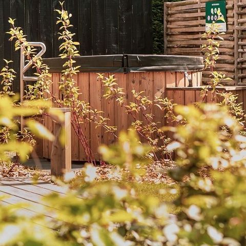 Soof Heuvelrug - Camping Rhenen - Image N°6